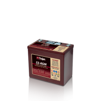Trojan 22-AGM battery | bateriasencasa.com