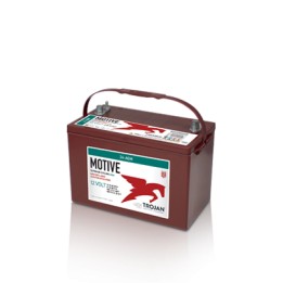Bateria Trojan 24-AGM 76Ah - 1