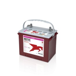 Bateria Trojan 24-GEL 77Ah - 1