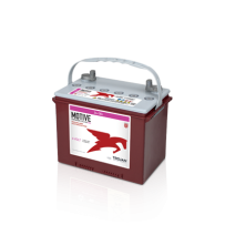Trojan 24-GEL battery | bateriasencasa.com