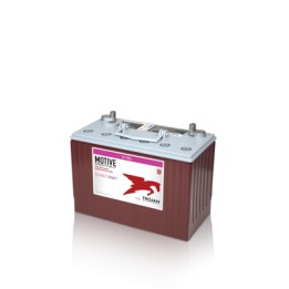Bateria Trojan 31-GEL 102Ah - 1