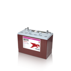 Trojan 31-GEL battery | bateriasencasa.com