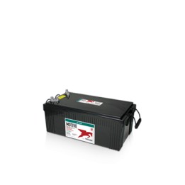 Bateria Trojan 8D-AGM 230Ah - 1