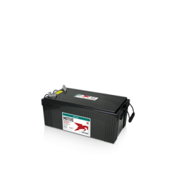 Batterie Trojan 8D-AGM | bateriasencasa.com