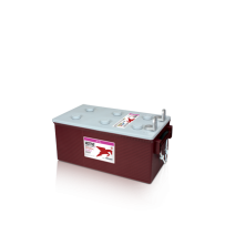 Trojan 8D-GEL battery | bateriasencasa.com