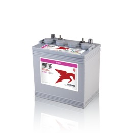 Bateria Trojan 8V-GEL 140Ah - 1