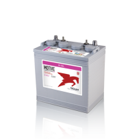 Batteria Trojan 8V-GEL | bateriasencasa.com