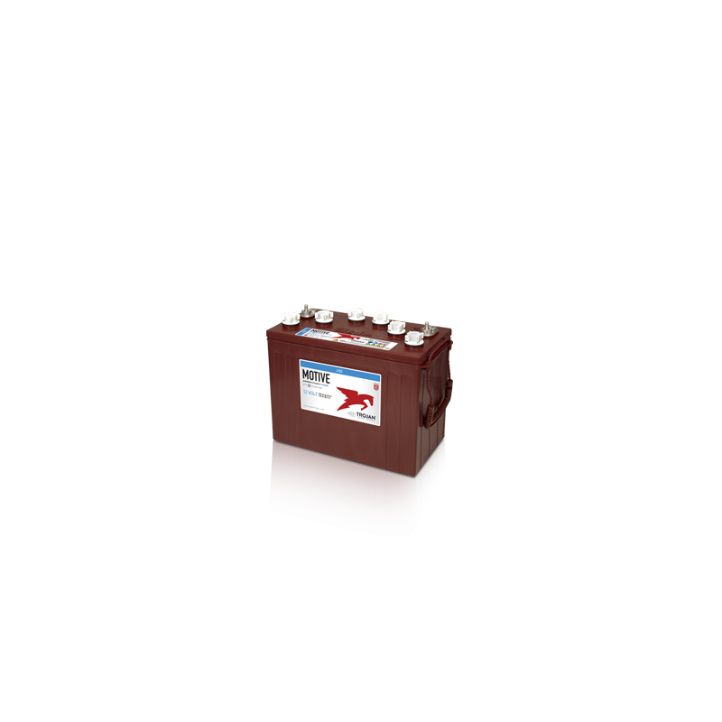 Batterie Trojan J150 | bateriasencasa.com