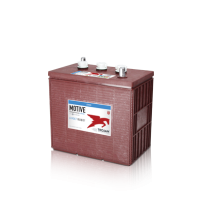 Trojan J250G battery | bateriasencasa.com