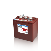 Trojan T-105 battery | bateriasencasa.com