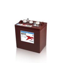 Trojan T-145 battery | bateriasencasa.com