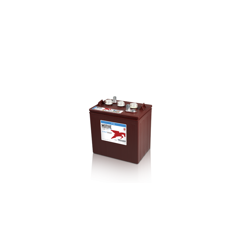 Batterie Trojan T-145 | bateriasencasa.com