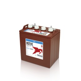 Bateria Trojan T-875 170Ah - 1