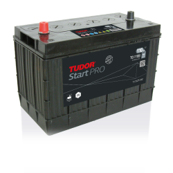 Tudor TG110B battery | bateriasencasa.com
