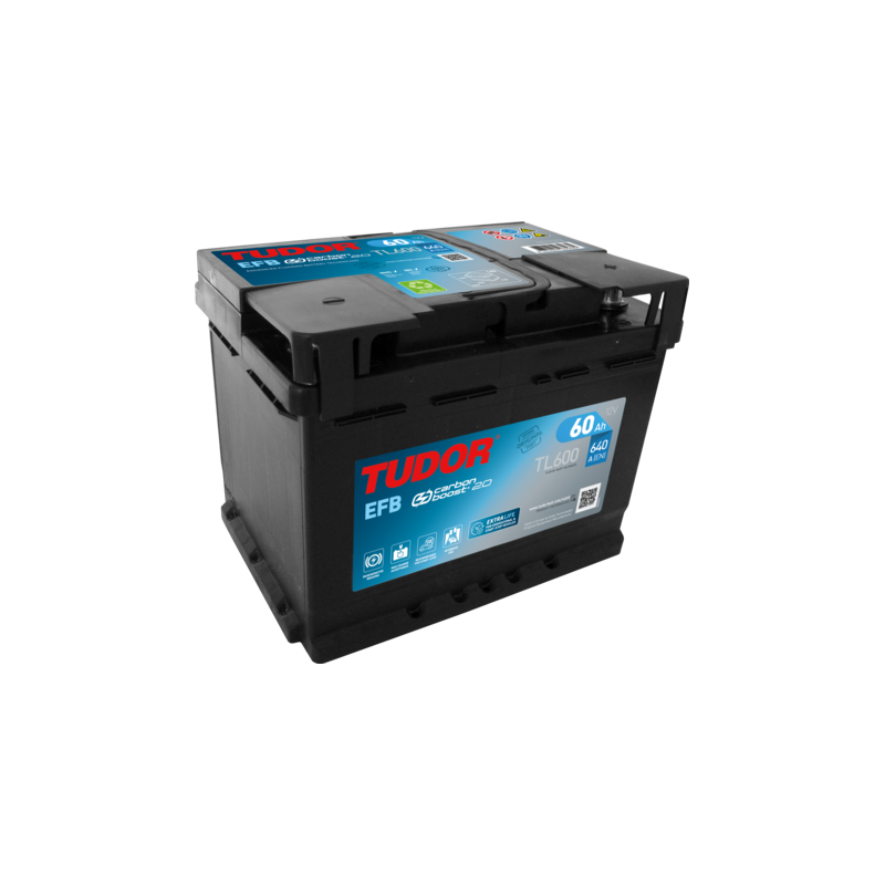 Batterie Tudor TL600 | bateriasencasa.com