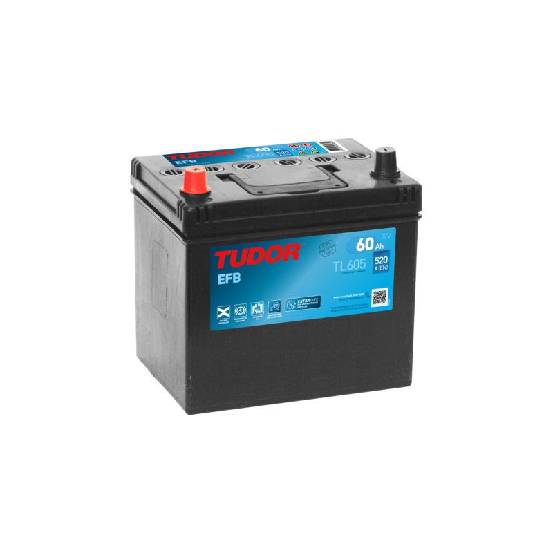 Batterie Tudor TL605 | bateriasencasa.com