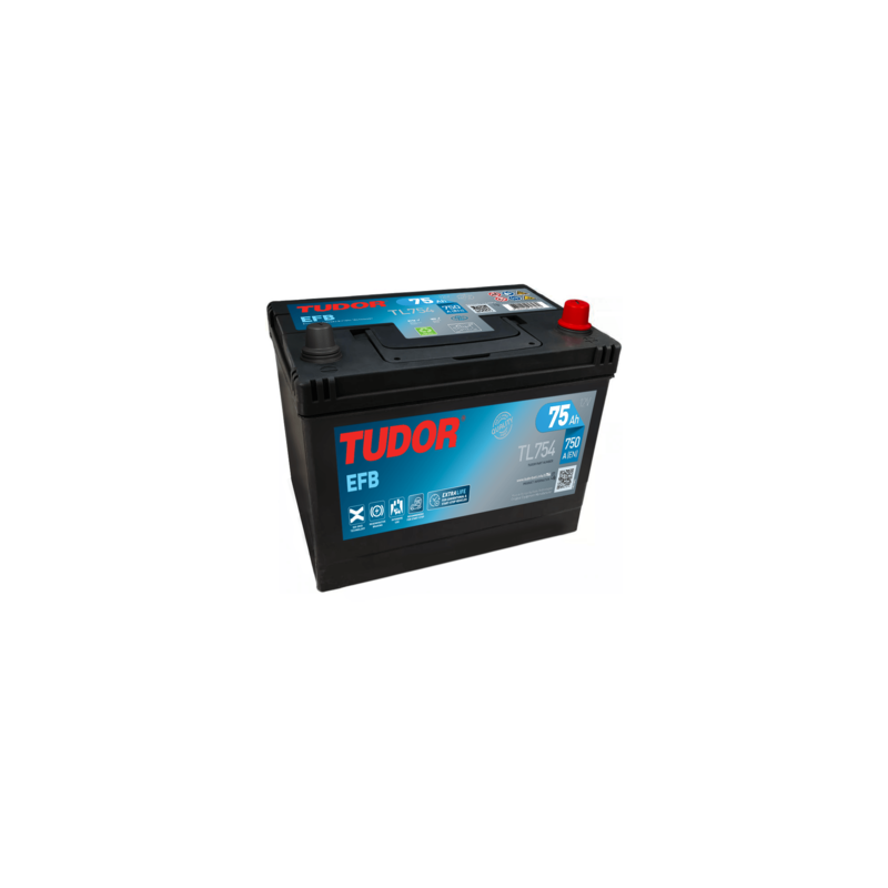 Batterie Tudor TL754 | bateriasencasa.com