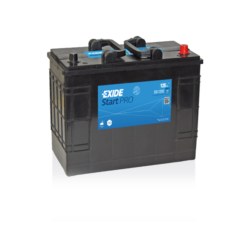 Batterie Exide EG1250 | bateriasencasa.com