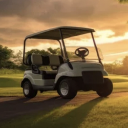 Baterías para Buggy de Golf